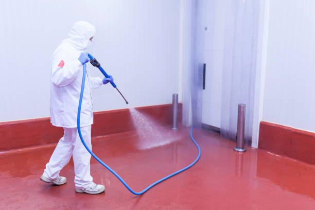 Spring Cleaning in Albion, NY