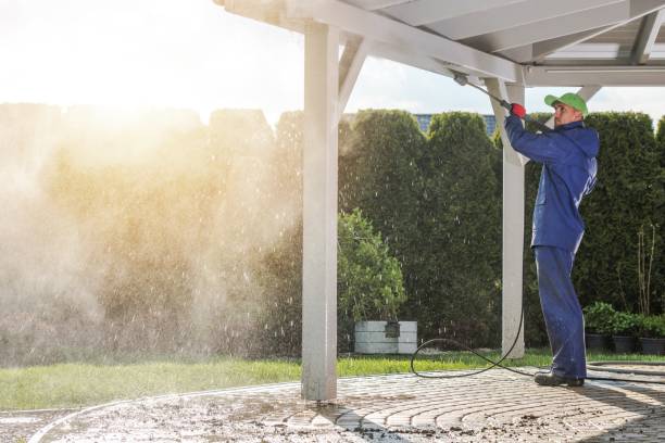 Solar Panel Cleaning in Albion, NY